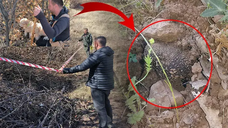 Köpeklerle adım adım arayıp buldular! Toprağın 5 ila 20 santimetre altında: 30 milyon TL'lik keşif