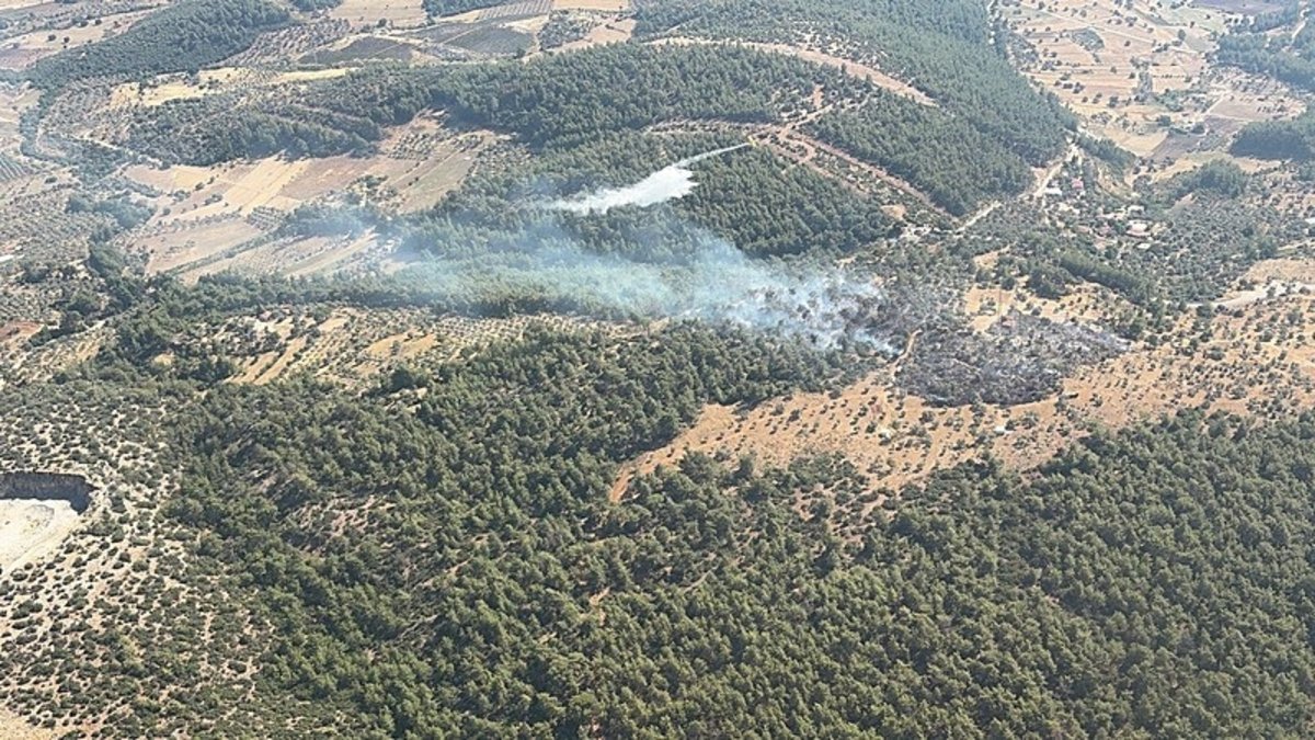 Muğla'da korkutan yangın!