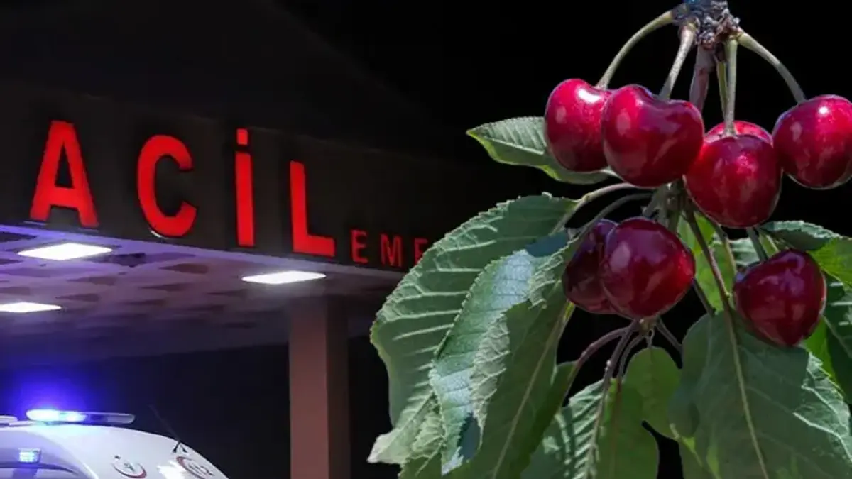Sır gibi olay! Bahçeden yediği kiraz sonu oldu