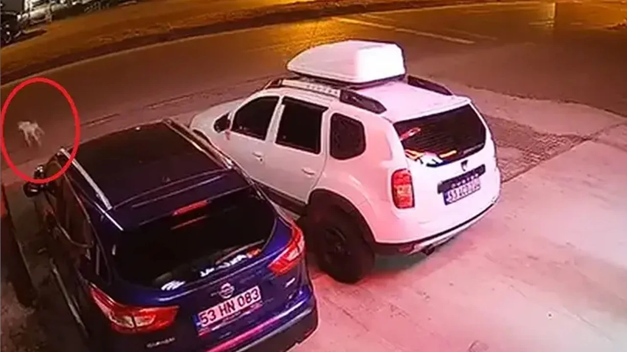 Köpeğe çarpmamak için manevra yaptı, takla atan ATV'de hayatını kaybetti