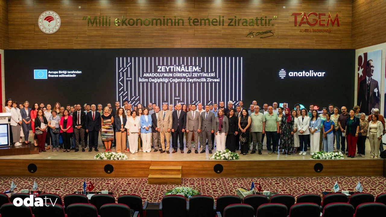 İklim krizine karşı zeytin alarmı; Anadolu’nun kadim çeşitleri için ortak çağrı