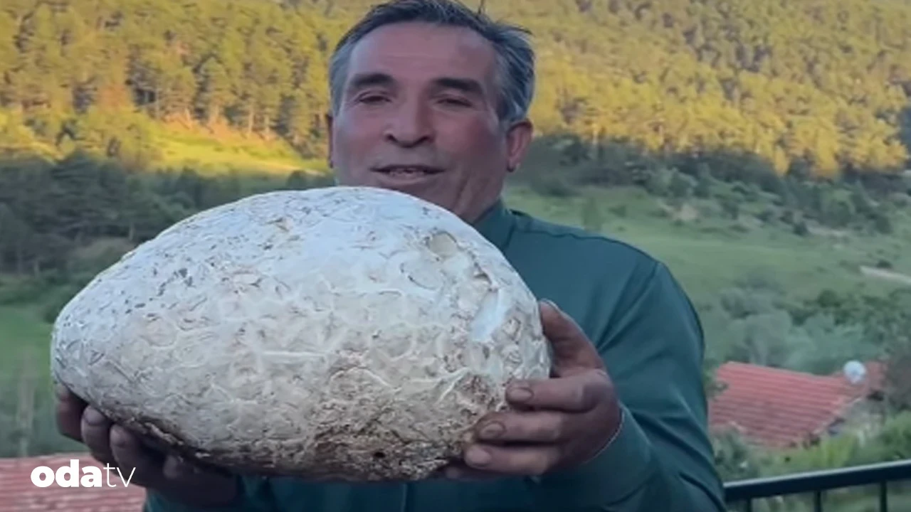 Çorum’da 5 kiloluk dev mantar şaşkınlık yarattı