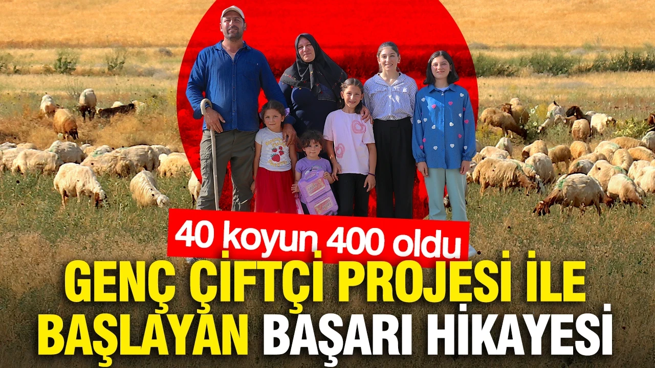 Genç Çiftçi Projesi ile başlayan başarı hikayesi: 40 koyun 400 oldu