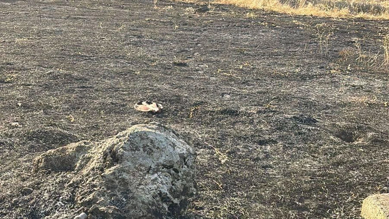 Bilecik'te elektrik direğinden çıkan kıvılcım yangın çıkardı