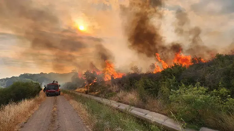 Çanakkale’de biçerdöver ve balya makinası kullanımı yasaklandı