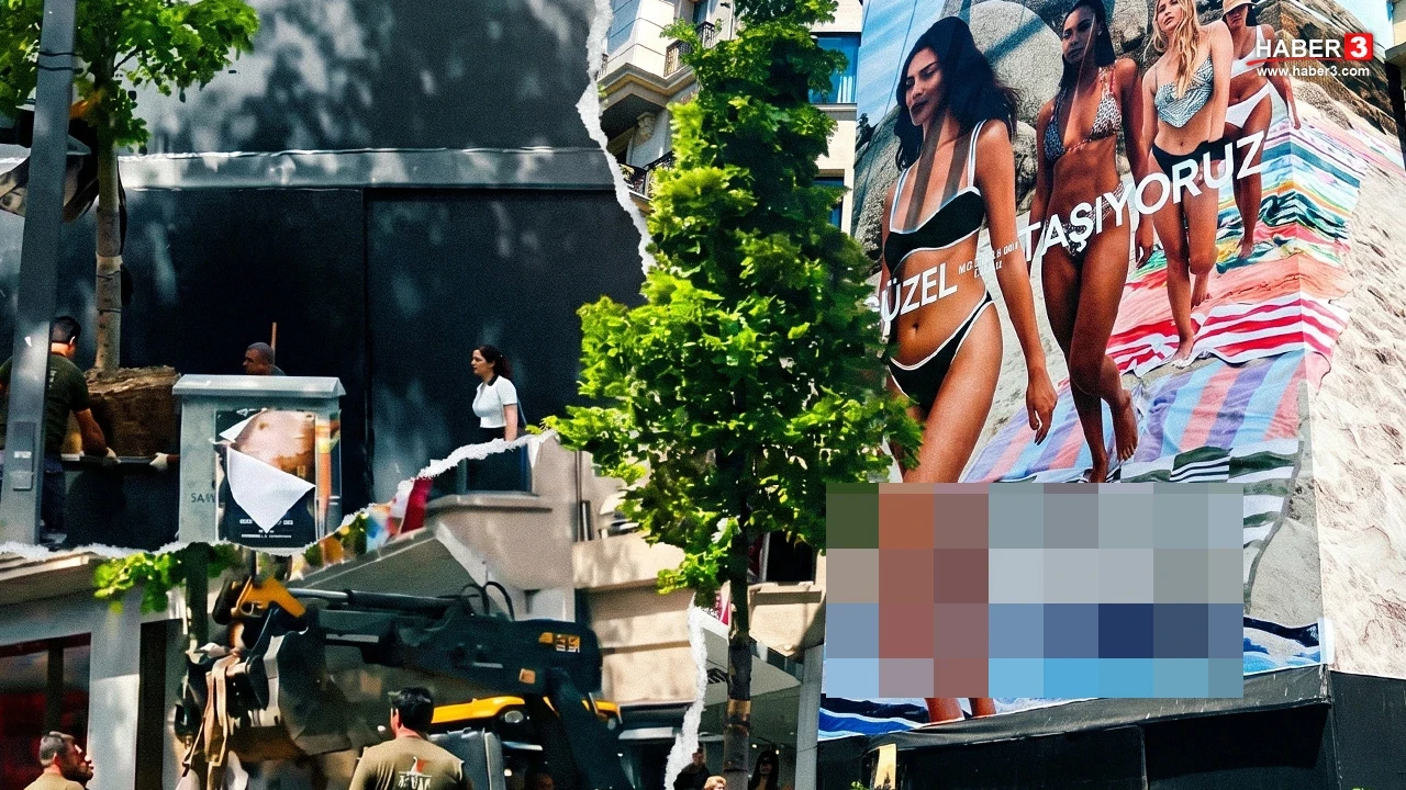 Şişli'de reklam panosu için kesilen ağacın yerine tepkiler üzerine yenisi dikildi