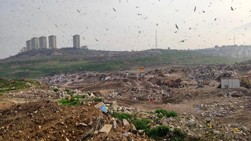 Çevre kirliliğine 2 milyar 43 milyon lira ceza: Doğayı katledenler kaçamadı
