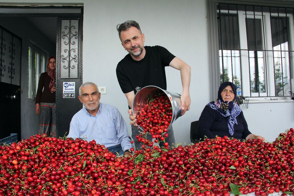 Türkiye'de kiraz mevsimi; Avrupa'ya ihracat başladı