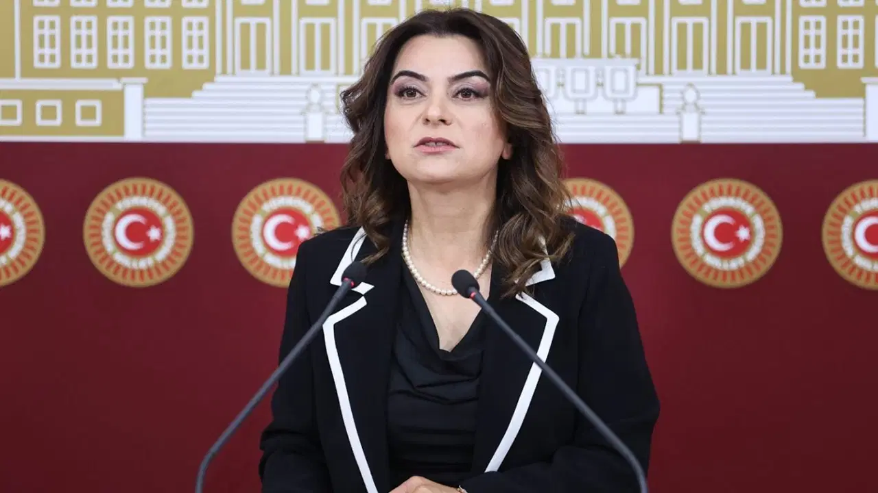 DEM Partili Koçyiğit'ten 'mutlak butlan' açıklaması: 'Partilerin yargı eliyle dizayn edilmesine bugün de karşıyız'