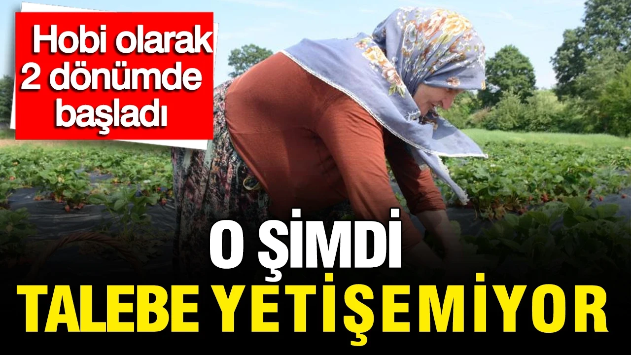 Hobi olarak 2 dönümlük alanda başladı: Şimdi talebe yetişemiyor