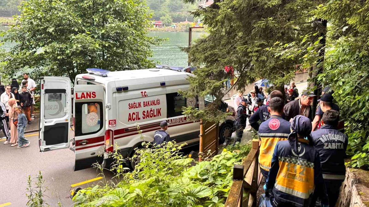 Uzungöl'de seyir terasından araç uçtu: 2 Arap turist yaralı