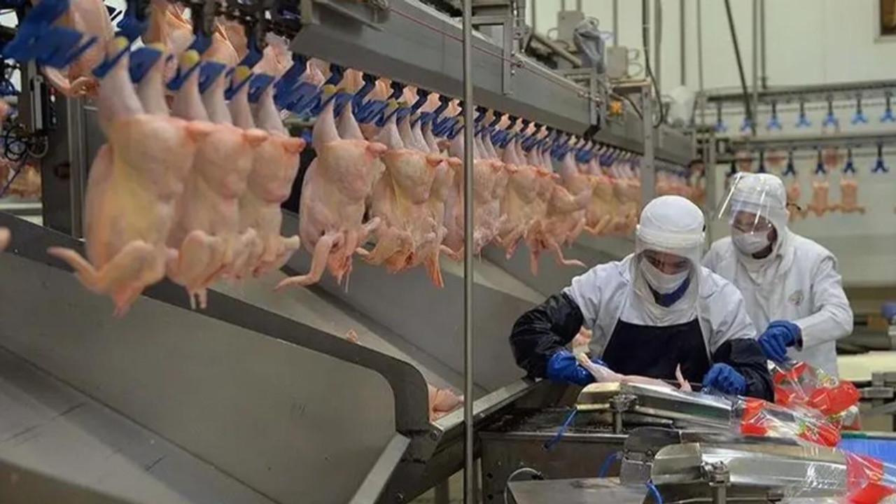 Beyaz et soruşturmasında sıcak gelişme! 13 şirkete kayyumu atanmıştı...