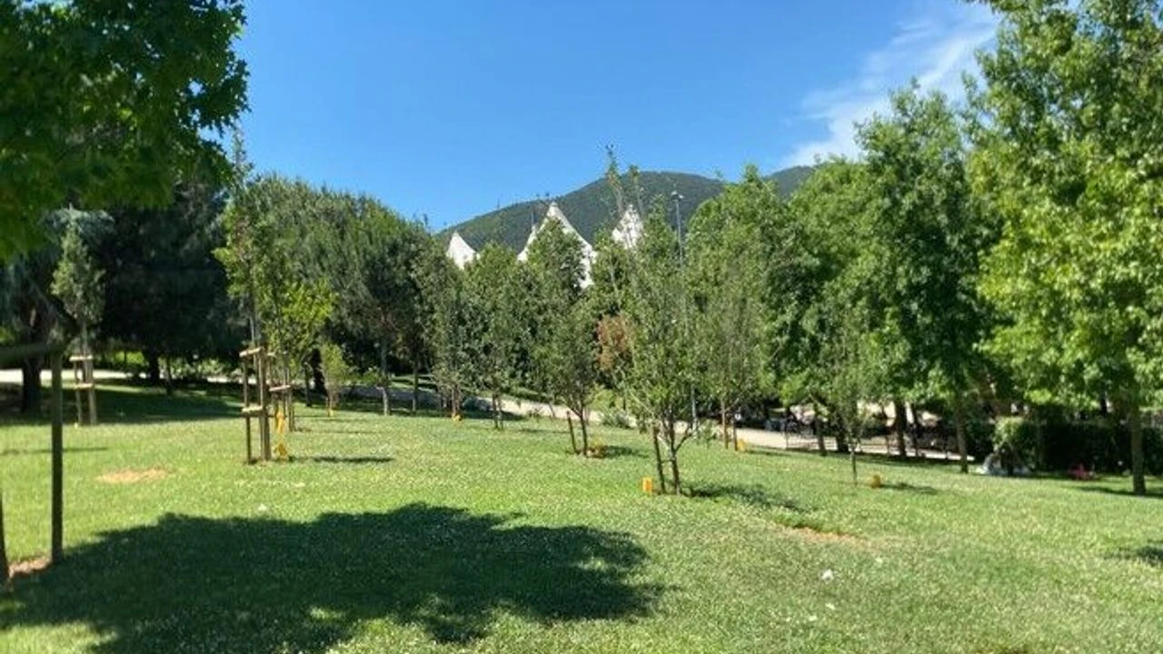 İBB İstanbul'da bulunan parklara meyve ağaçları ile donatıyor