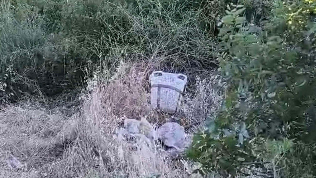 Traktör uçuruma yuvarlandı! 4 çocuk babası hayatını kaybetti