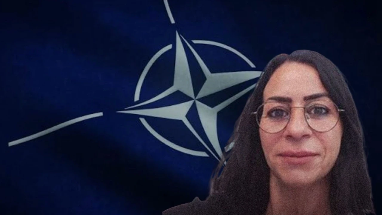TİP üyesi Elif Önder'e NATO paylaşımı gerekçesiyle tutuklama