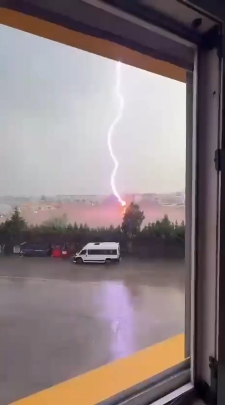 Tekirdağ'da palmiye ağacına yıldırım düştü, alev alev yandı