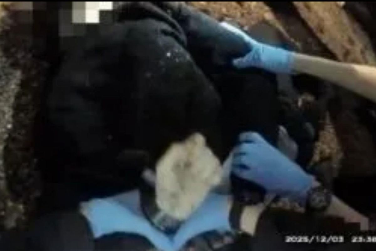 Bıçaklanan genç yardım istediği polis tarafından kelepçelendi: Hastanede hayatını kaybetti!