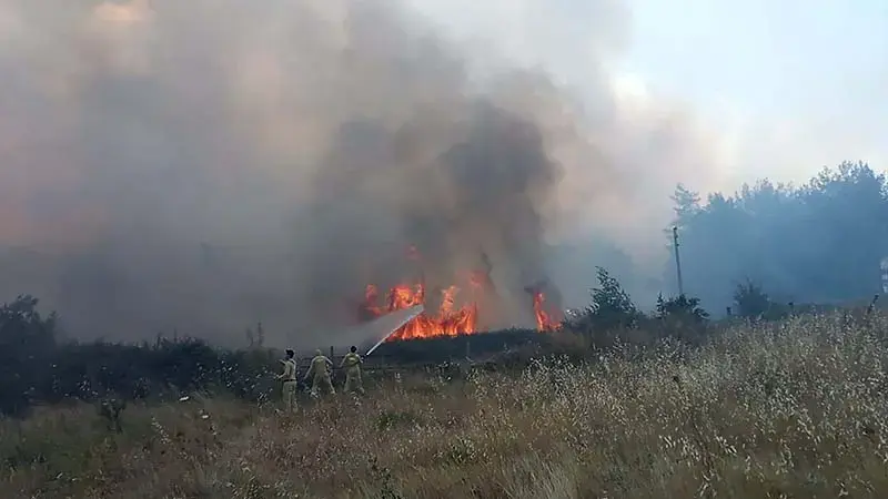 Muğla'da tarım arazisinde çıkan yangın kontrol altında