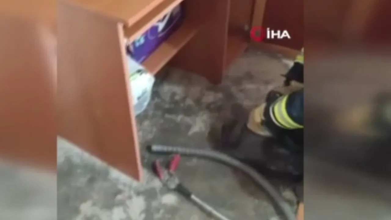 Eve giren 2 metrelik yılanı görünce çığlığı bastılar! Yaşadıkları korku kamerada