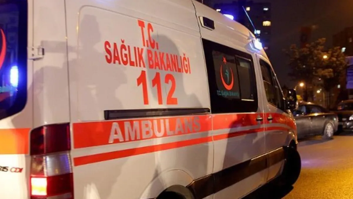Ardahan'da dehşet! Yıldırım isabet eden genç yaralandı