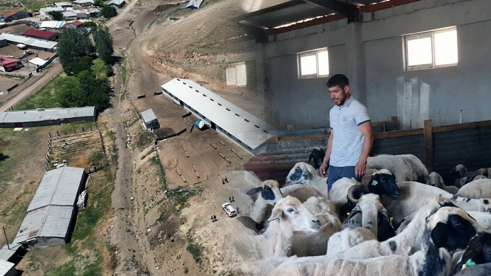Erzincanlı üretici devlet desteğiyle modern tesis kurdu! 1000 küçükbaş kapasiteli işletmede üretim yapıyor