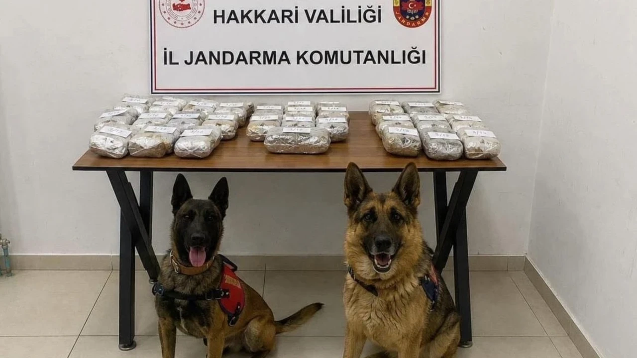 Hakkari'de 21 kilo 650 gram esrar ele geçirildi