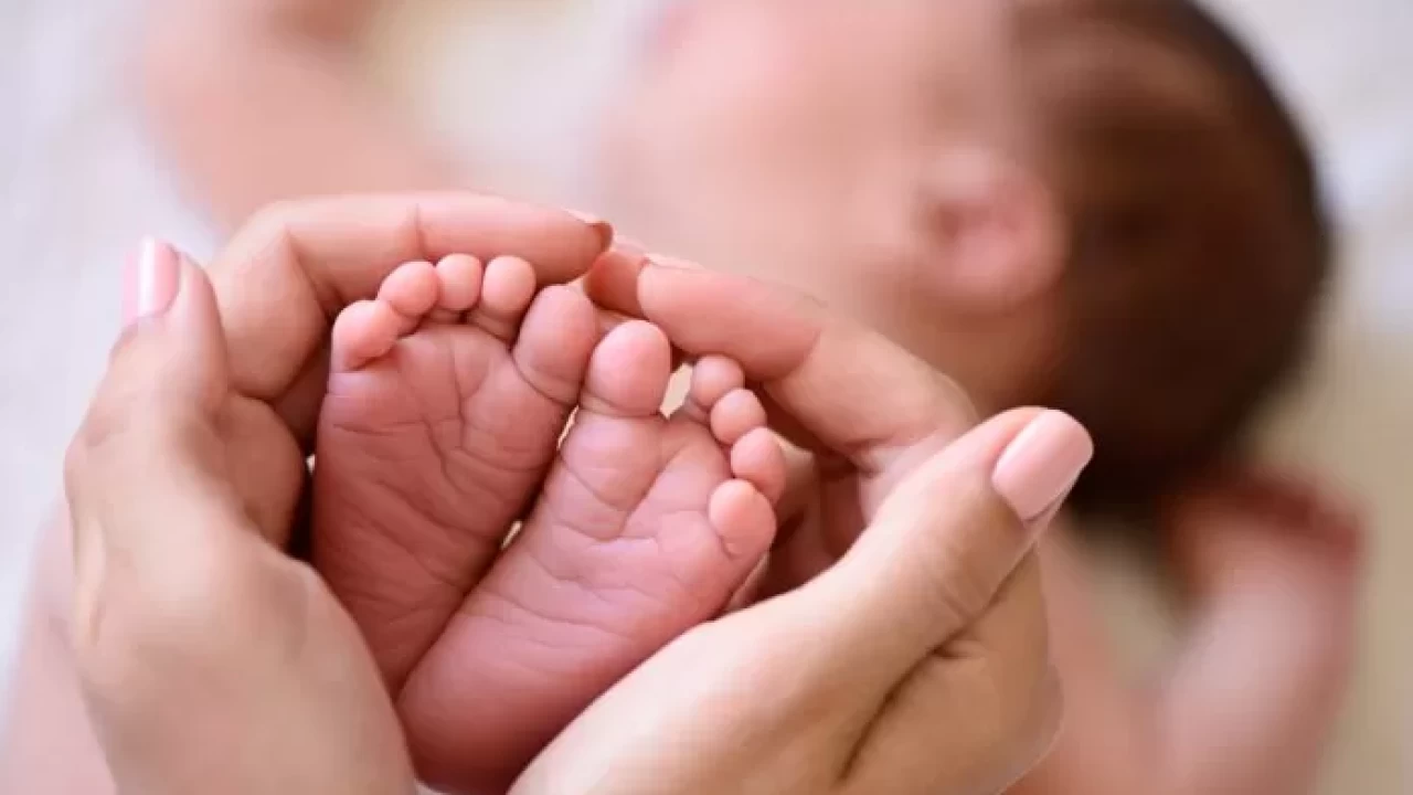 Hamilelere ebe desteği mi verilecek? Ebe desteği ne zaman ve nasıl alınacak?