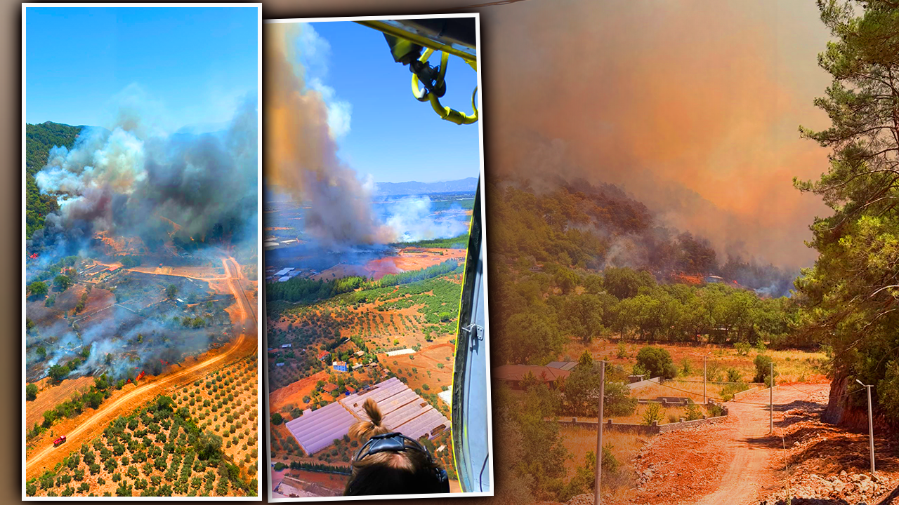 Muğla, Antalya, Elazığ… 3 ilde orman yangını! Alevlere müdahale sürüyor