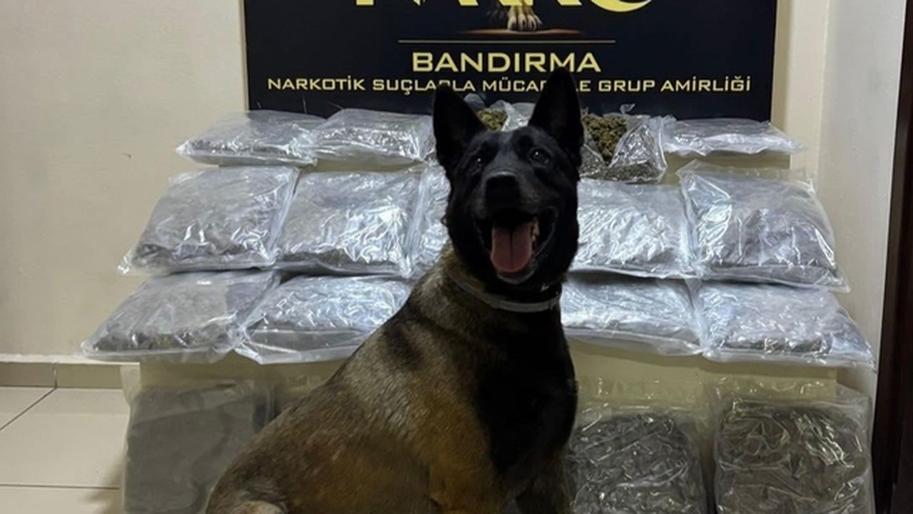 Bandırma'da ele geçirildi! 11.2 kilogram