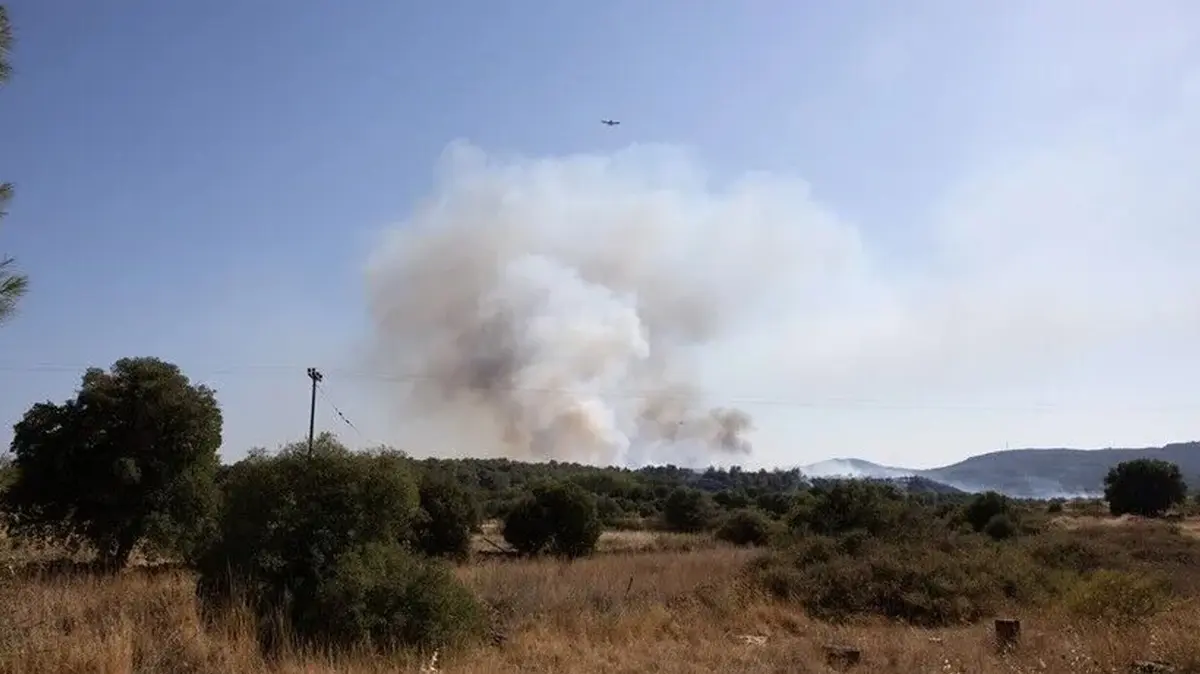 Yunanistan'da Oinoi bölgesinde orman yangını