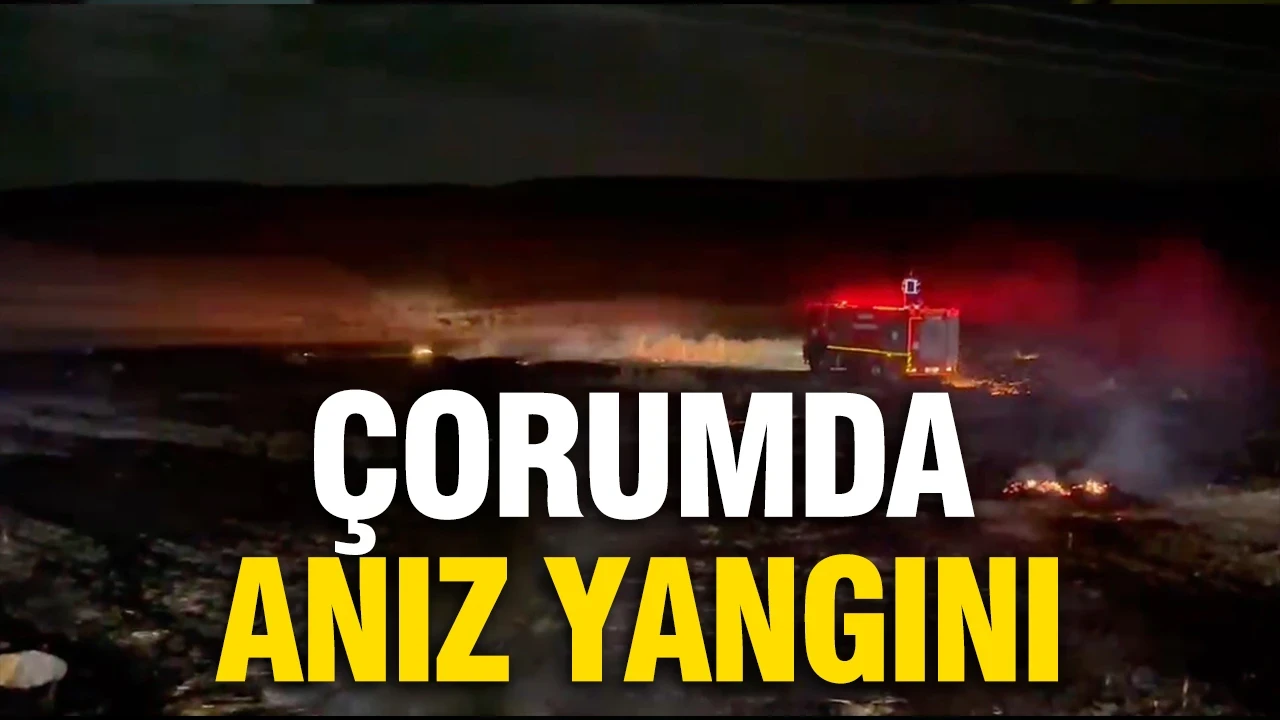 Çorum'da anız yangını büyümeden söndürüldü