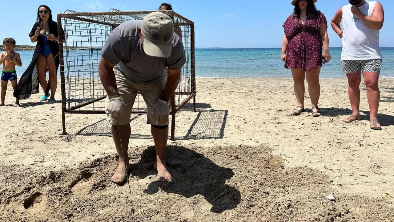 Aydın’da yılın ilk Caretta Caretta yuvası tespit edildi