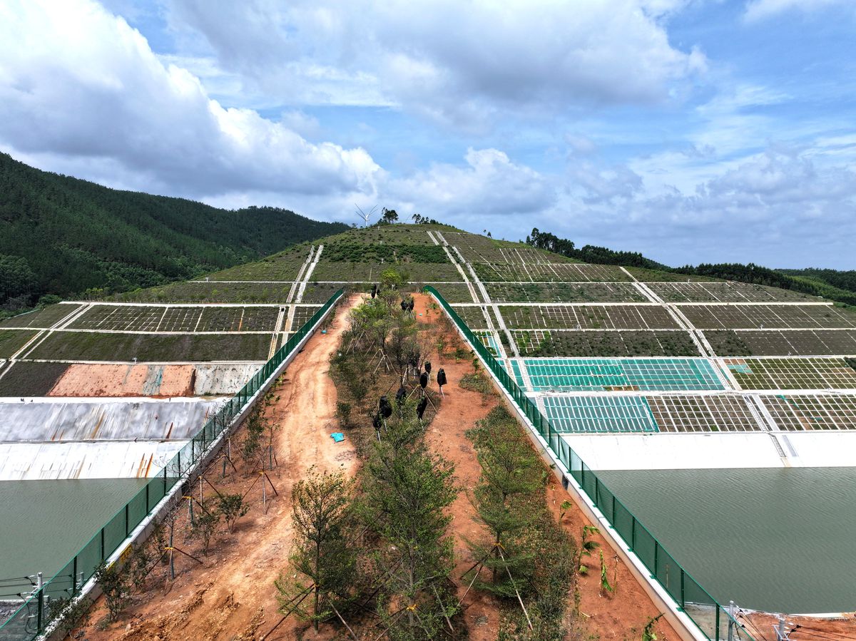 Albüm: Çin'in Guangxi Bölgesindeki Ekolojik Köprü, Yaban Hayvanları İçin Doğal Geçit İşlevi Görüyor