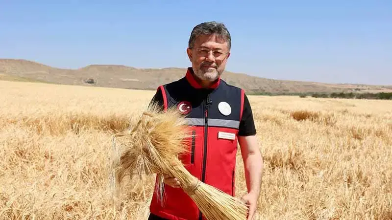 Bakan Yumaklı: Buğdayda yüzde 27, arpada yüzde 50 artış bekliyoruz