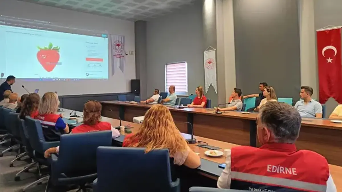 Yerel sera sebze üreticileri dijital pazara hazırlanıyor