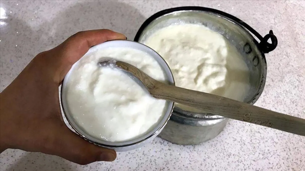 Ayran, yoğurt ve kefir zirve yaptı! Türkiye'nin üretimi 4 ayda rekor seviyeye çıktı