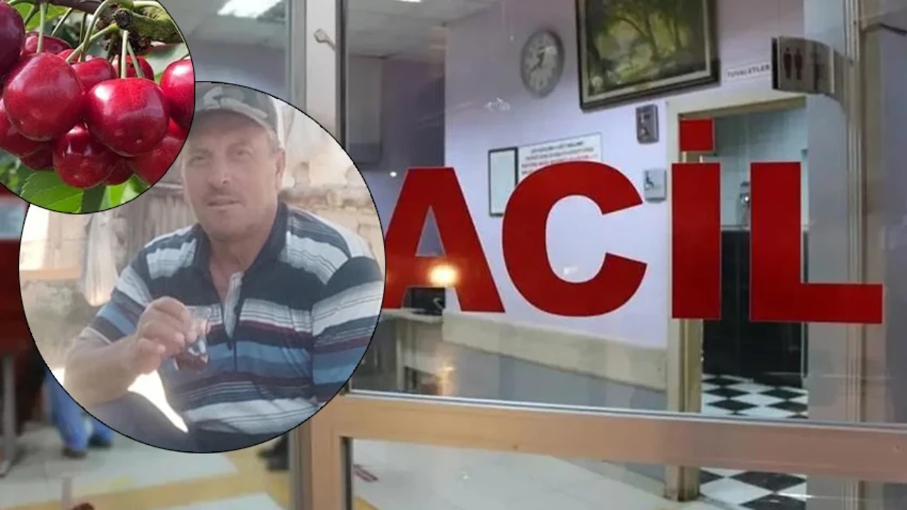 Dalından koparıp yedikleri kiraz sonları oldu! Karı koca peş peşe öldü