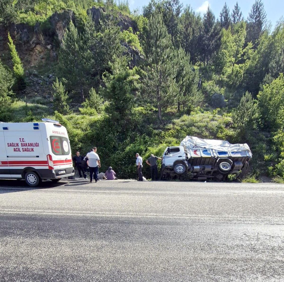 Kastamonu'da kamyon şarampole devrildi: 2 yaralı