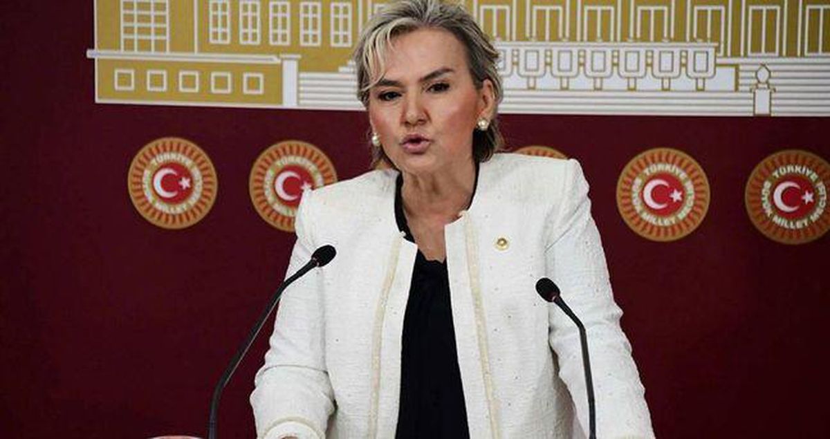 Nimet Özdemir kimdir? Nimet Özdemir CHP'den neden istifa etti?