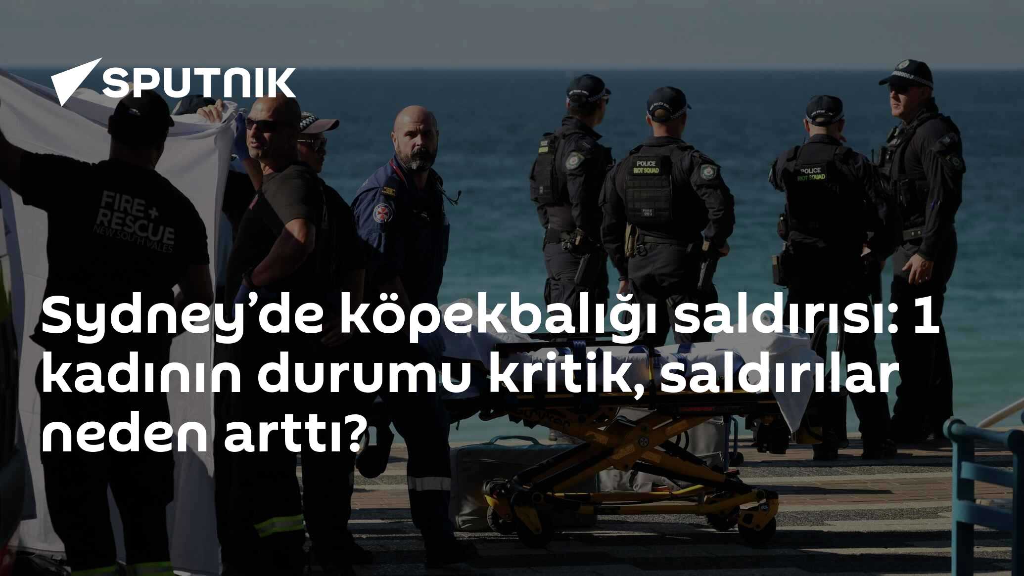 Sydney’de köpekbalığı saldırısı: 1 kadının durumu kritik, saldırılar neden arttı?