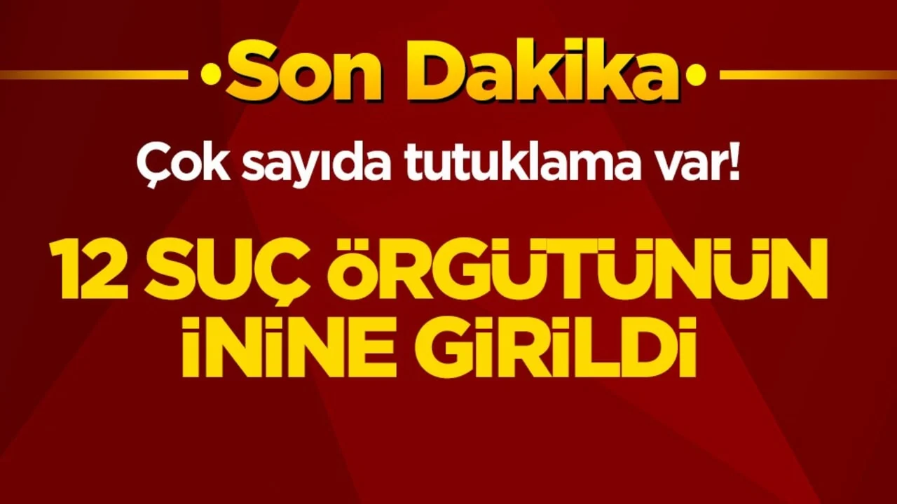 Çok sayıda tutuklama var! 12 suç örgütünün inine girildi