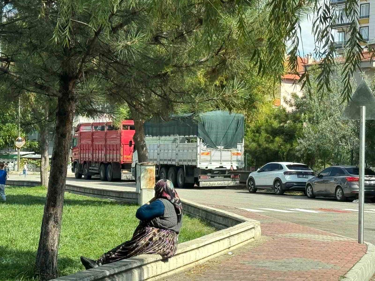 Erol'dan mahalle aralarına park eden tır ve kamyon sürücülerine önemli uyarı Açıklaması