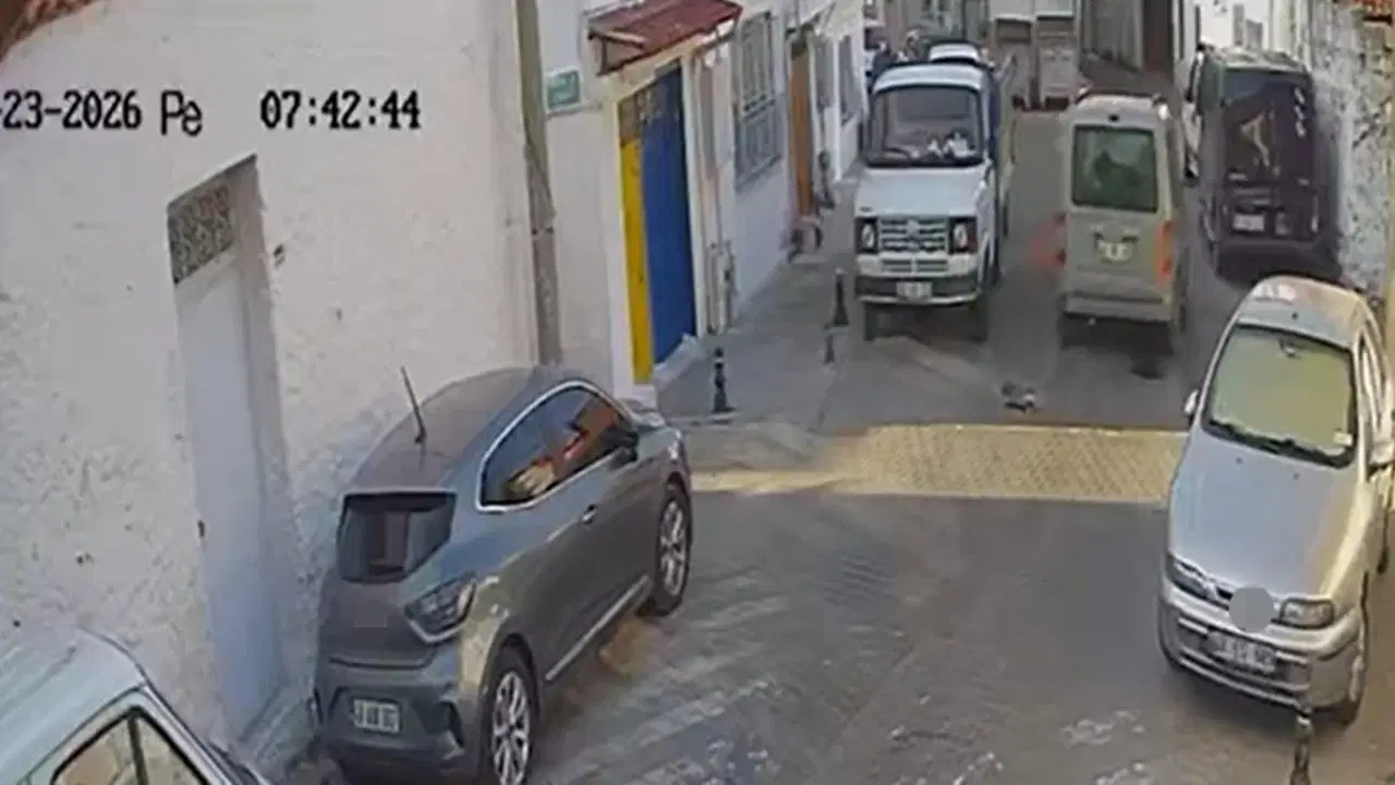 Muğla'da korkunç görüntüler... İki sokak kedisini ezdi, arkasına bile bakmadan uzaklaştı