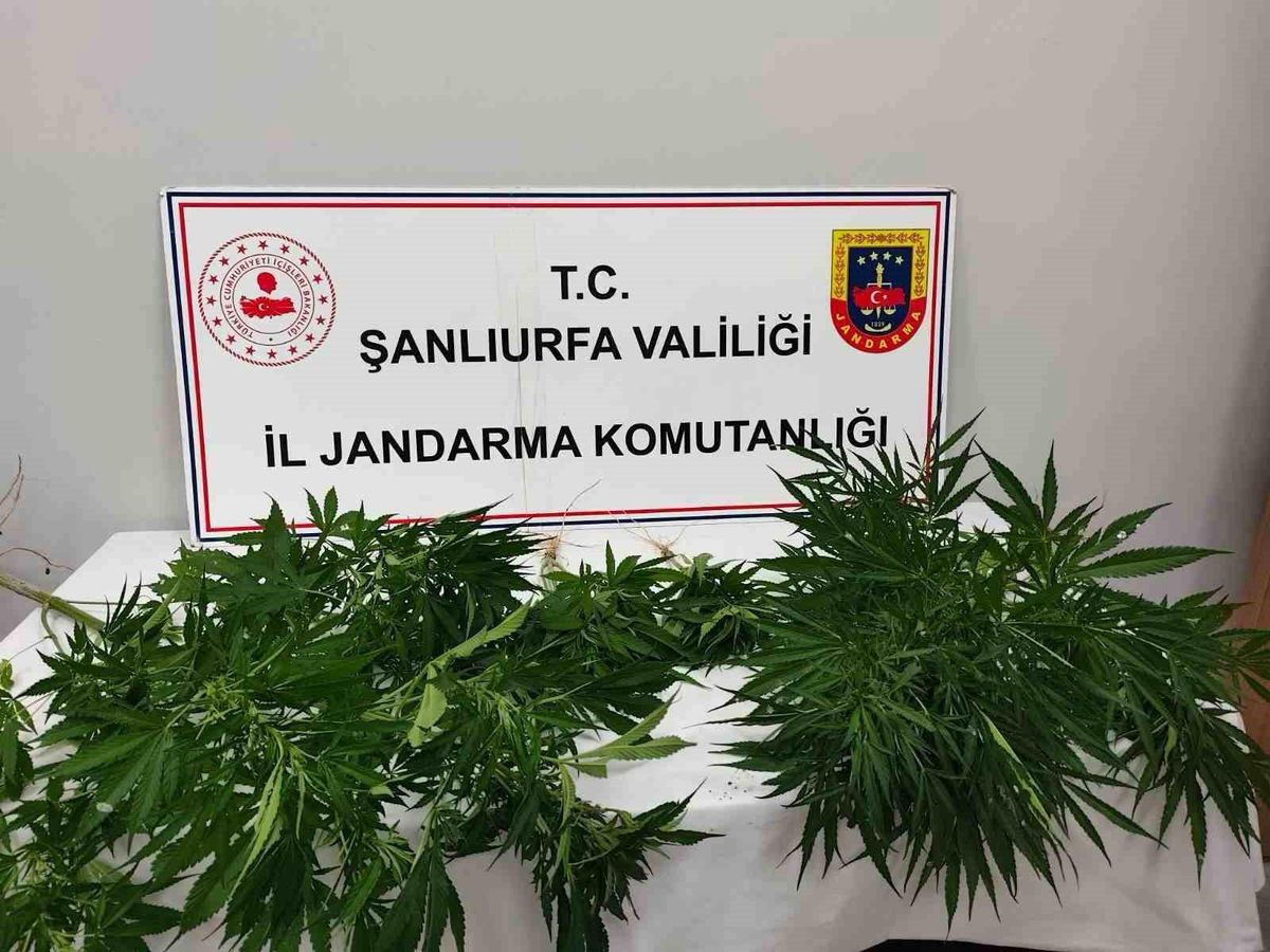 Hilvan'da uyuşturucu ele geçirildi