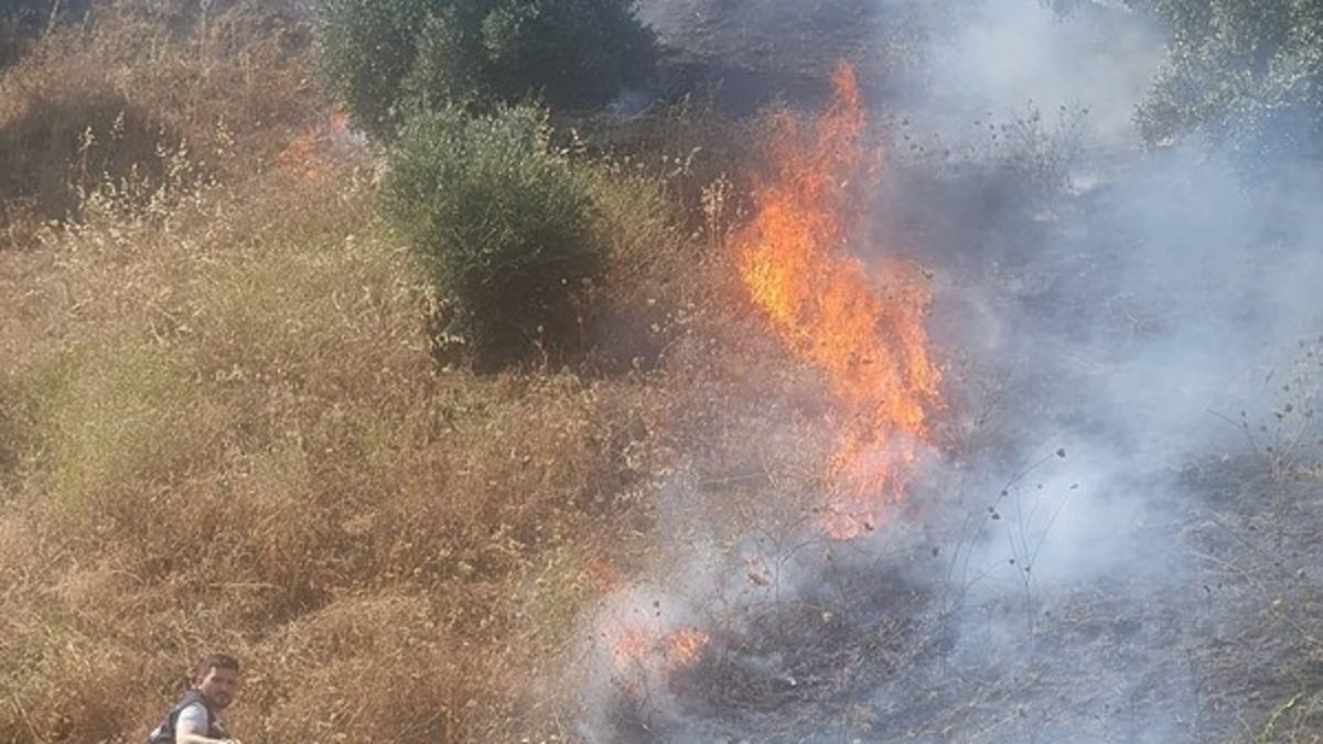 SON DAKİKA: Aydın'da alevlerle mücadele! Zeytinlik alanda yangın çıktı