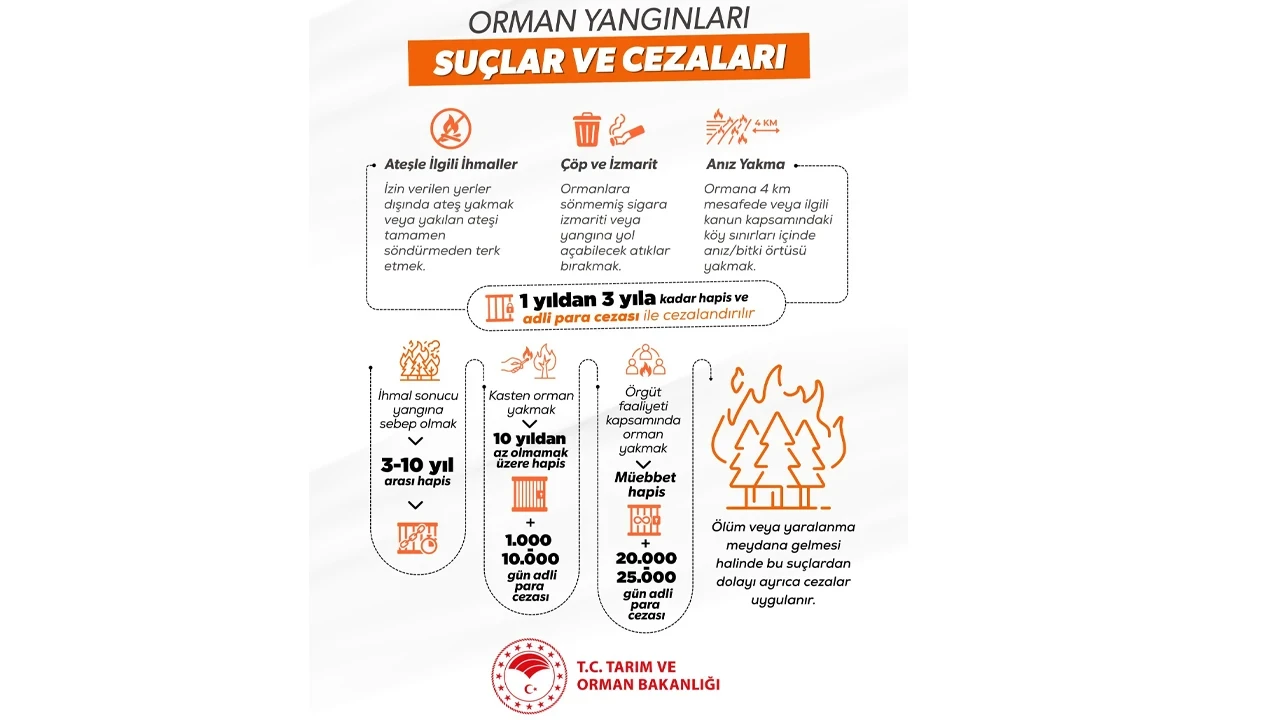 Ormanlarımızı koruyalım, geleceğimizi küle çevirmeyelim