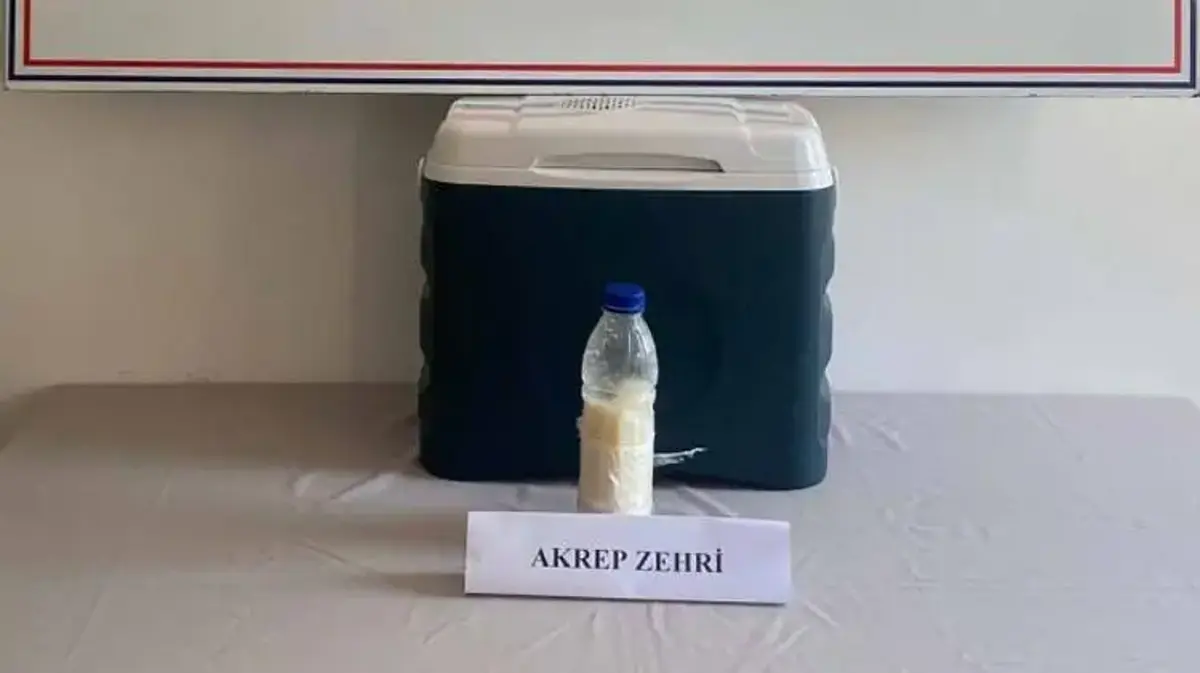 Gramı altından katbekat değerli akrep zehri Yalova'da yakalandı