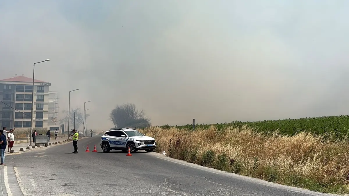 Silivri'de kırsal alanda yangın