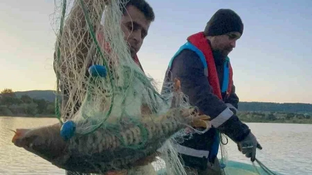 Kastamonu'da baraj gölünde yüzlerce metre hayalet ağ ele geçirildi: 200 kilogram sazan balığı kurtarıldı