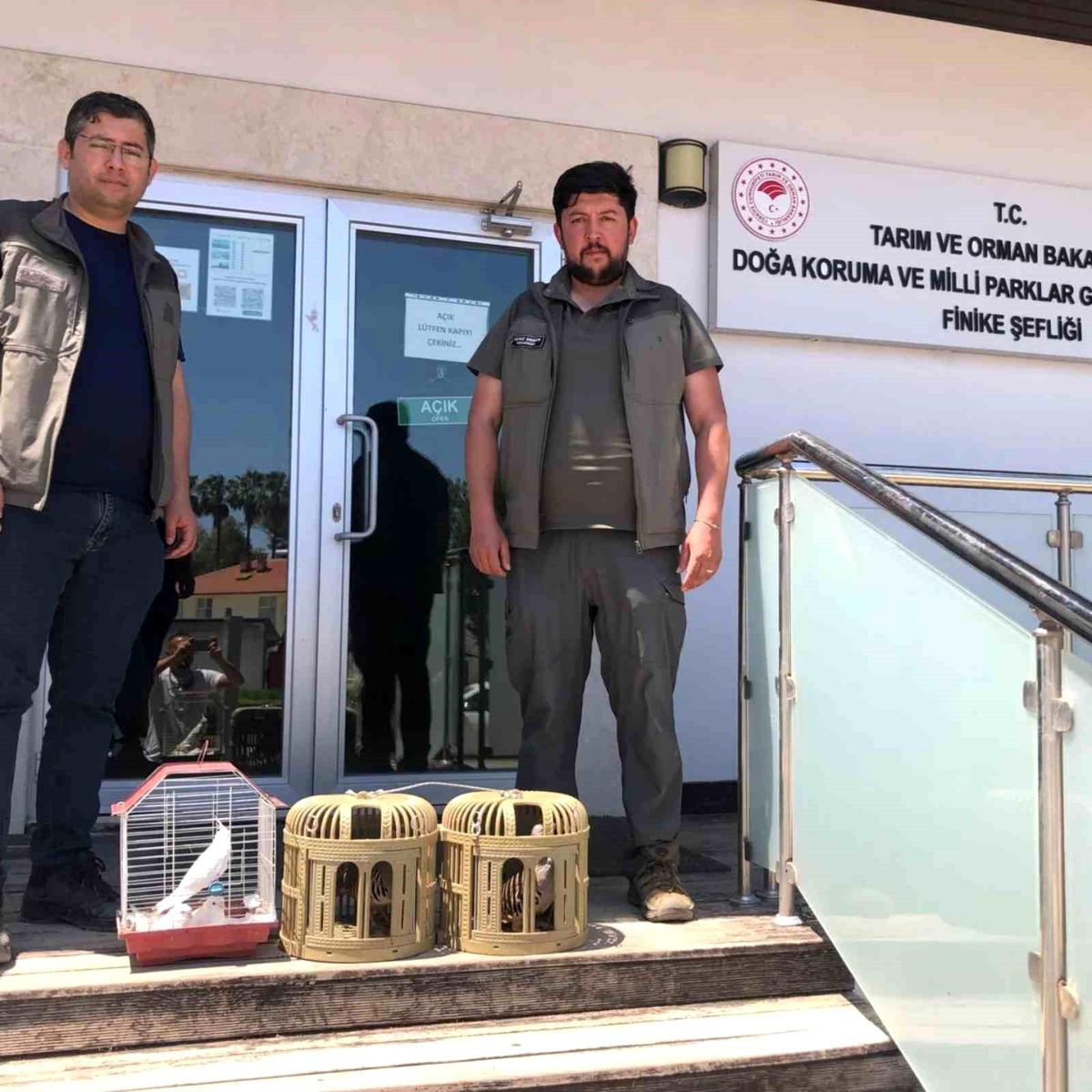 Kuş denetiminde kafeslerdeki keklik ve papağanlara el konuldu